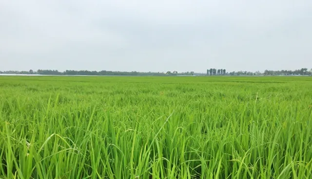 渠道选型中企业信息发布的关键考量因素