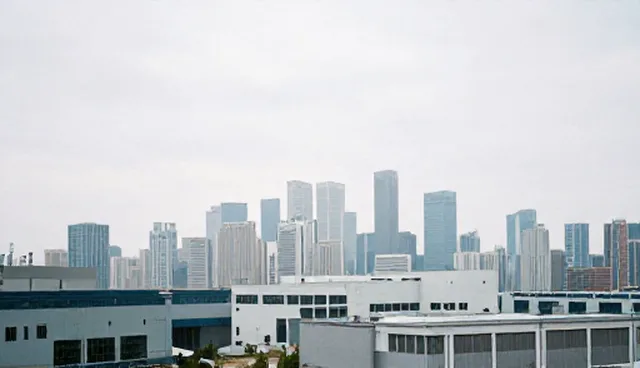 企业信息发布:自主发布与平台对接的取舍分析